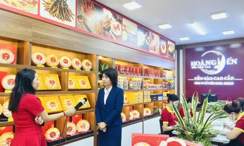 Hoàng Yến – nâng tầm chất lượng yến Việt