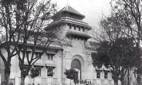 Tản mạn về việc học