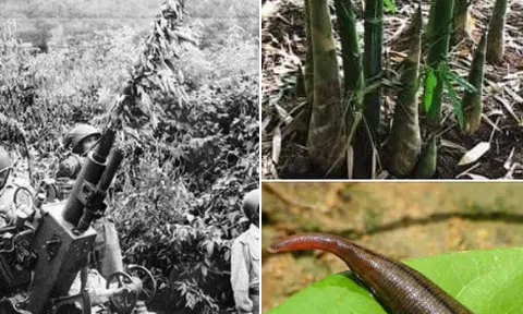 Hồi ký - Vượt qua tất cả "Mùa mưa ở Lào " (kỳ 3)