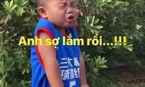 Mỹ nhân tiếp thị