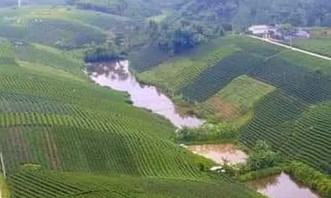 Đệ nhất danh Trà