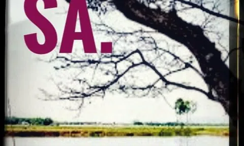 Phù sa