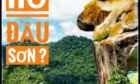 Hổ đầu sơn?