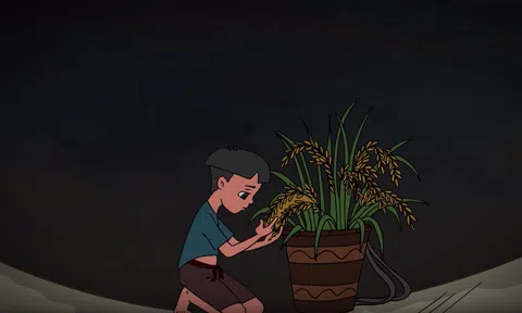 Câu chuyện thóc luộc