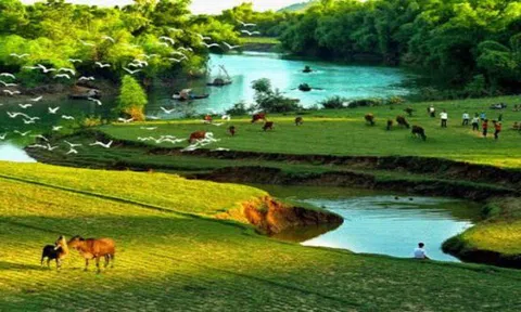 Loại cán bộ.. xã