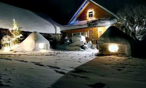 Ngôi Nhà Hạnh Phúc