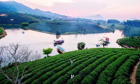 Vài suy nghĩ về làn điệu ví dặm của quê mình xứ Nghệ