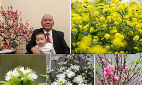 Mùa xuân...điều kỳ diệu