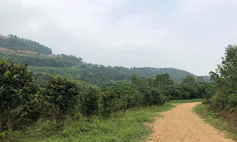 Vĩnh Phúc: Bí ẩn núi Đinh