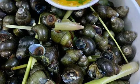 Nỗi nhớ mùa đông