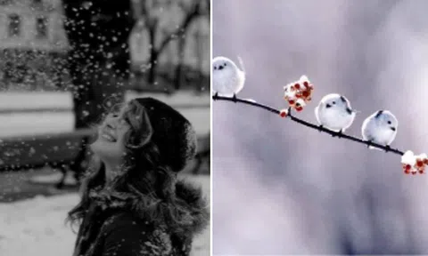 Những sứ giả không may của tình yêu