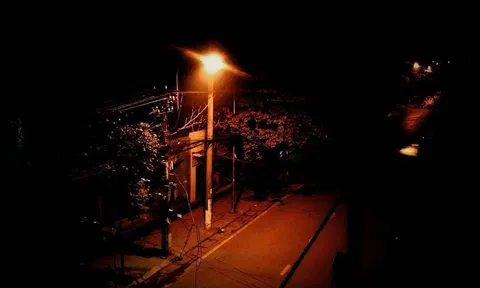 Những ngày mùa đông