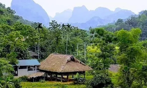 Đêm đông ở vùng cao