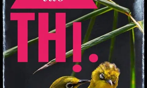 Nỗi oan Tào Thị
