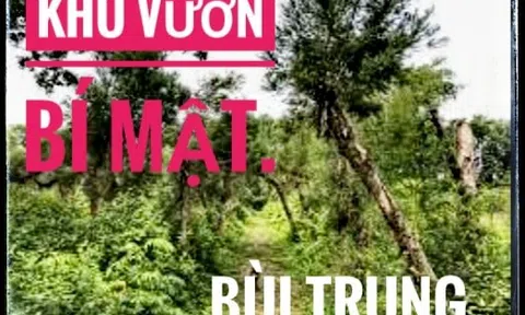 Khu vườn bí mật