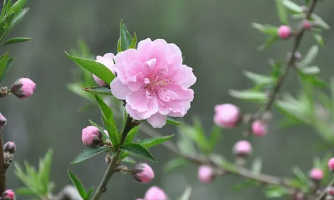 Vậy thì phải đi thôi