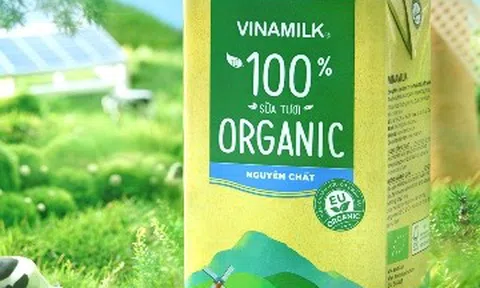 Mẹ bầu hiện đại và quan niệm "cố gắng" ăn nhiều vì con