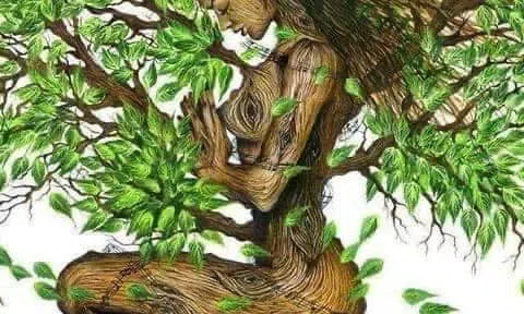 Một chuyện tình