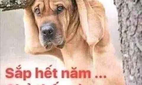 Nói chuyện chính tả