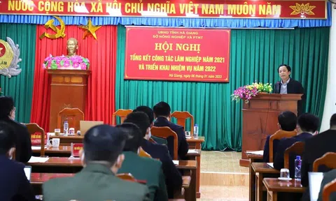 Hà Giang: Khẩn trương khắc phục những hạn chế trong công tác quản lý và bảo vệ rừng