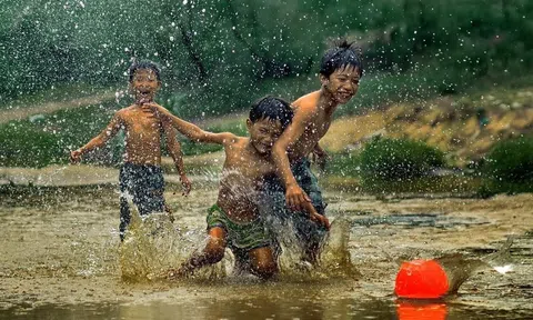 Chuyện những con chạch con lươn