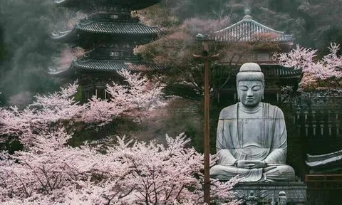 Đi lễ chùa đầu năm ta nên cầu gì