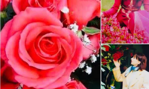 Năm mới Nhâm Dần sắp đến, nói chuyện về hoa và đời sống tình cảm của con người