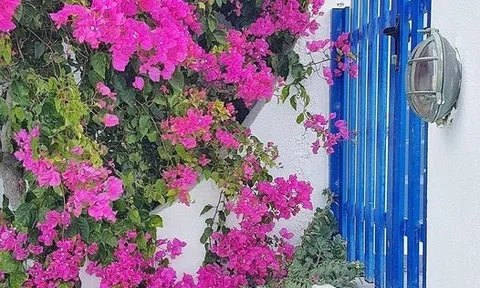 Chuyện khó tin có thật