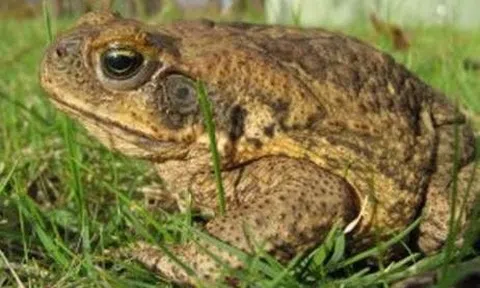 Sự vật xung quanh ta