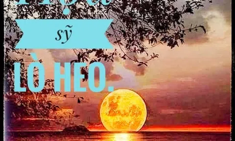 Họa sỹ lò heo
