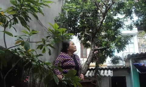 Tết đến nơi rồi