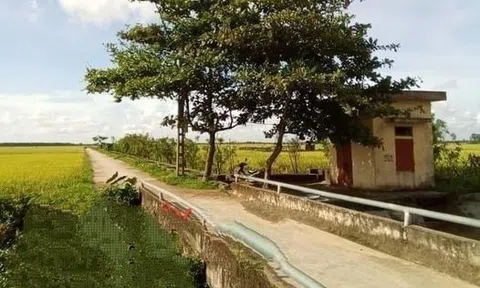 Lú lẫn