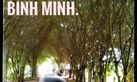 Nhớ danh cầm ở Bình Minh