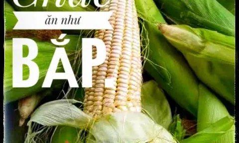 Chắc ăn như bắp