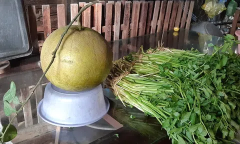 Rau cần nước