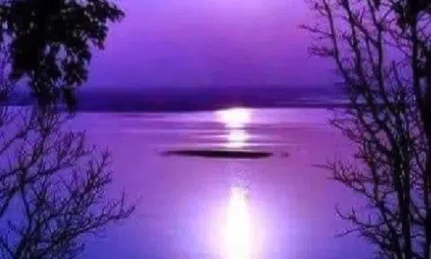 Có phải họ đã sai