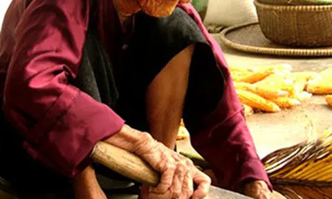 Ngoại tôi và chiếc quạt làm bằng mo cau