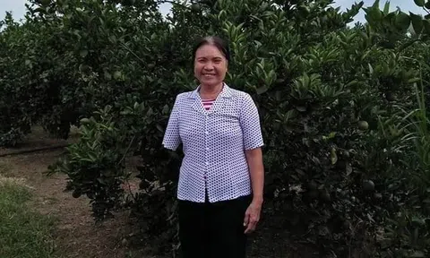 Trang đời chị tôi ( trường ca )