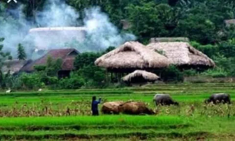 Vợ người, vợ ta