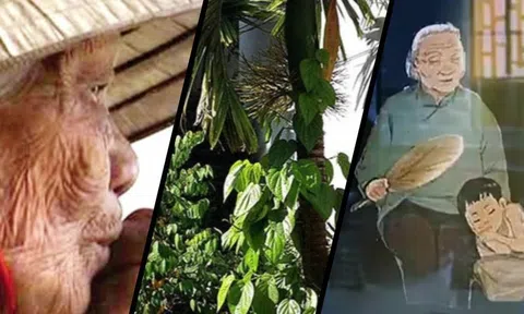 Nhớ lắm! Trầu cau ơi!