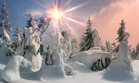 Phận người nơi xa xứ