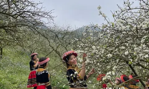 Tích tắc