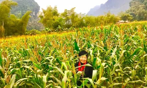 Hãy đến với Lâm Bình- Tuyên  Quang!