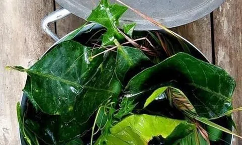 Nồi lá xông....!