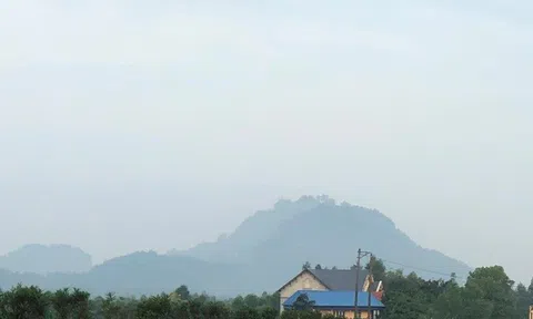 Ngày lễ Tình nhân: Gieo chữ trên mây