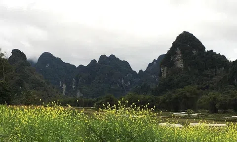 Đêm nhà sàn, đếm nhịp sương rơi