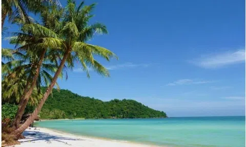Chuyện tình của biển