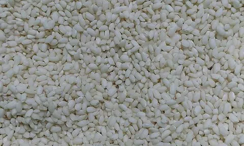 Nếp quê Thầy gửi