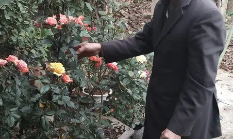 Chiến sỹ Trường Sơn về xây dựng nông thôn mới