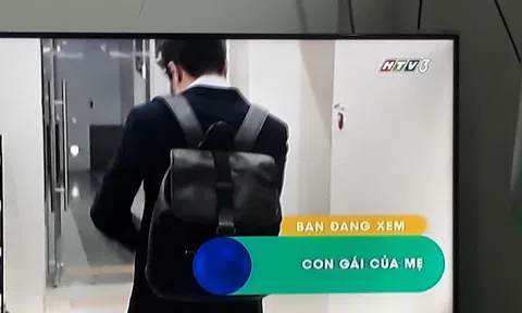 Không thuê… ô sin đâu!